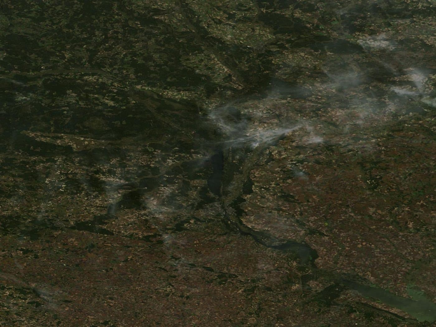 Kiev e il bacino del Dnipro osservati da Terra/MODIS il 1° ottobre 2026. Repertorio geografico, non dei danni ai ponti.